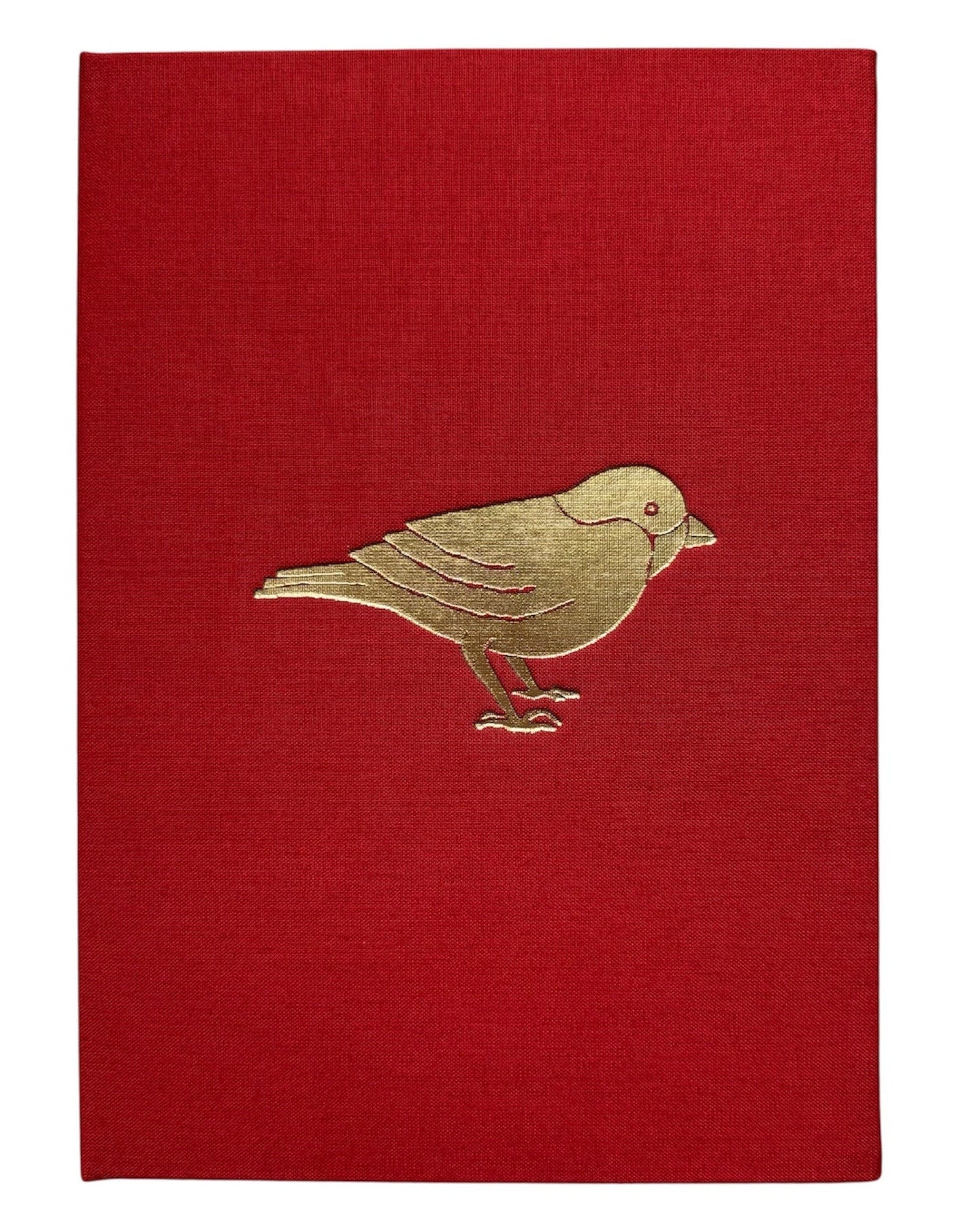 Notebooks Birdie